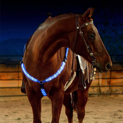LED-ljusremsa för Hästar