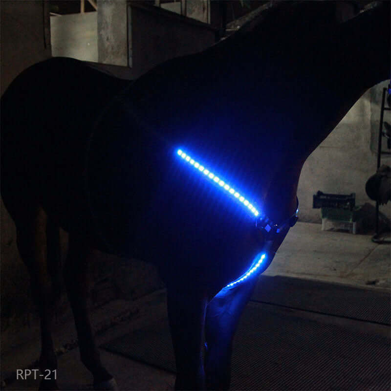 LED-ljusremsa för Hästar