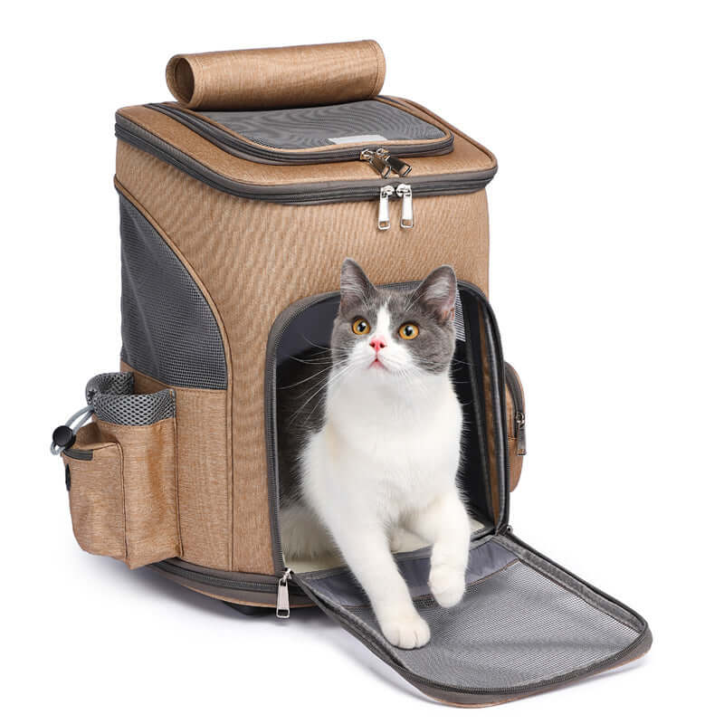 Portable Collapsible Pet Carrier with Universal Bag