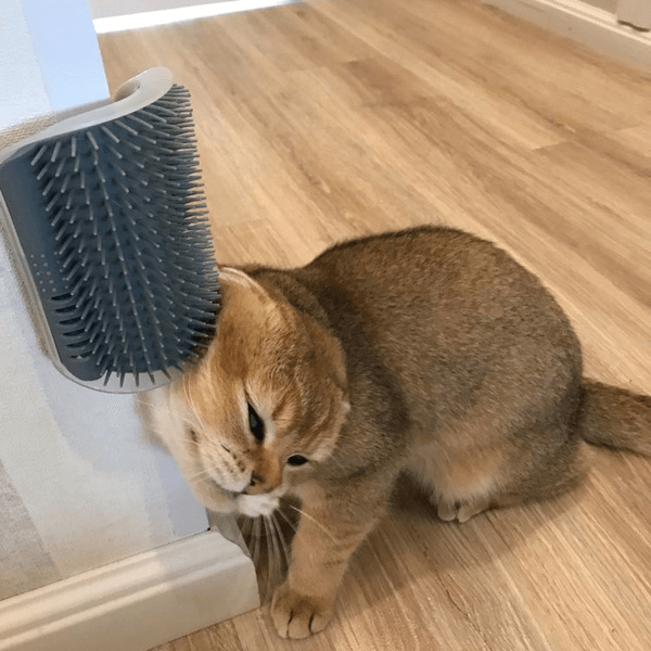Self-cleaning brush for cats Rubbing device for pet walls