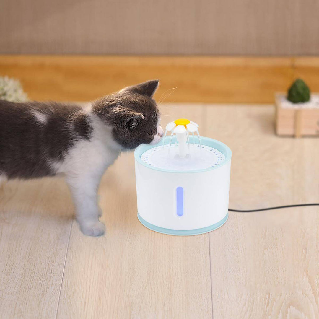 Automatisk drick kopp till din Katt med LED ljus